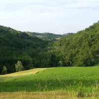agricamp-picobello-montelparo-1gagc