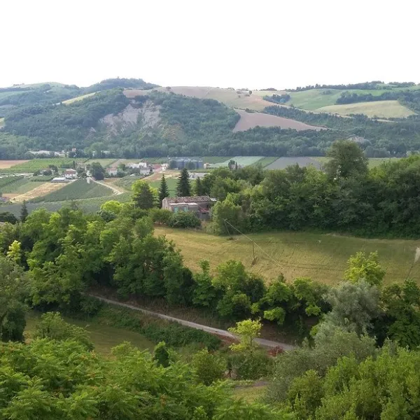 agricamp-picobello-montelparo-cr4fx