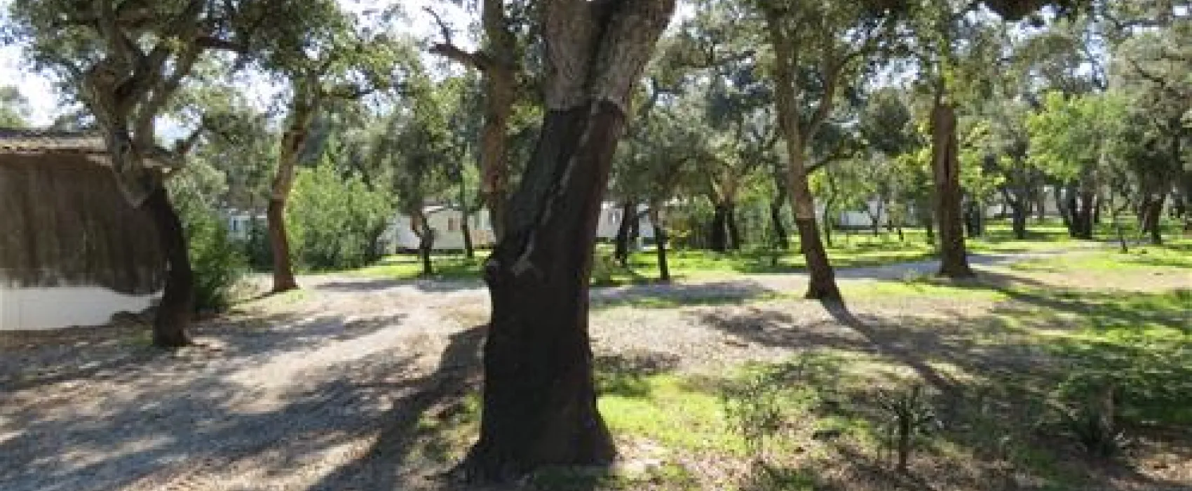 Flower camping - Le Romarin  
