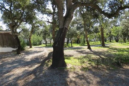 flower-camping-le-romarin-argeles-sur-mer-1gog3