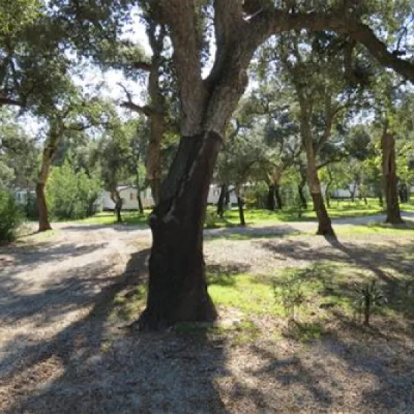 flower-camping-le-romarin-argeles-sur-mer-1gog3