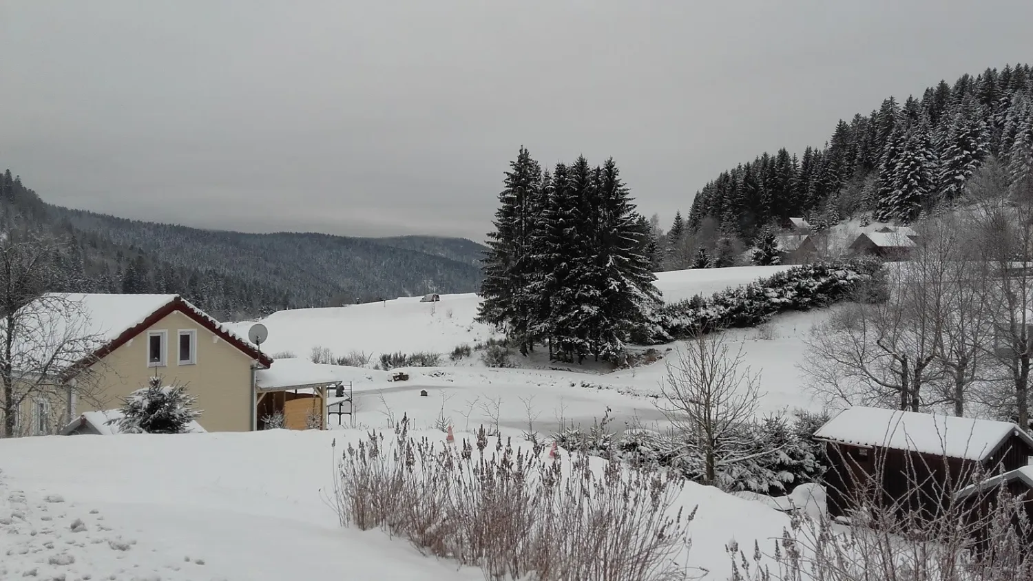 camping-les-myrtilles-gerardmer-3sbfw