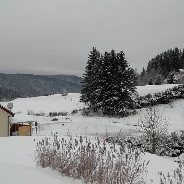 camping-les-myrtilles-gerardmer-3sbfw