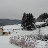 Camping Les Myrtilles