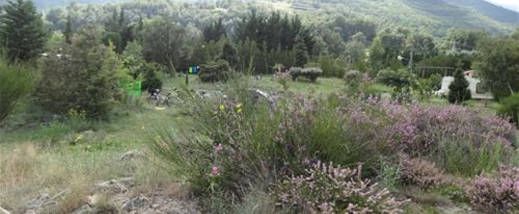 Camping Le Cortsavi