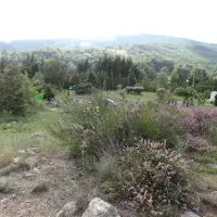 camping-le-cortsavi-corsavy-b2w1z