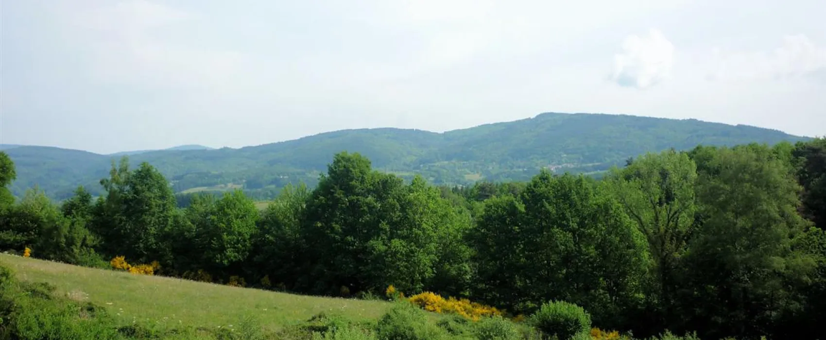 Camping les Chelles  