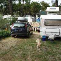 camping-porton-biondi-rovinj-6dqyp