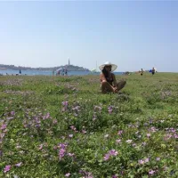 Camping Porton Biondi