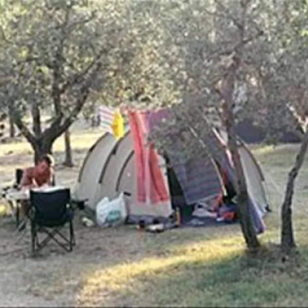 campeggio-il-falcone-civitella-del-lago-yvxxq