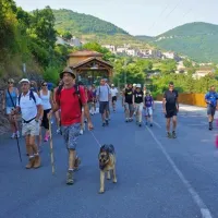 camping-de-la-cascade-st-rome-de-tarn-fdnlw