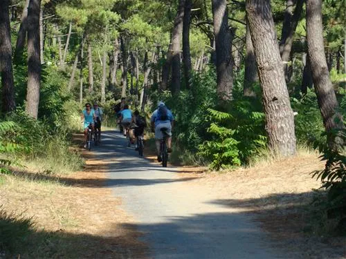 camping-beausoleil-les-mathes-la-palmyre-oqlkz