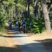 camping-beausoleil-les-mathes-la-palmyre-oqlkz