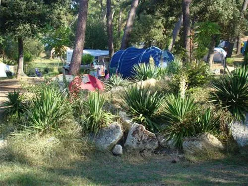 camping-beausoleil-les-mathes-la-palmyre-tbnsh