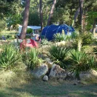 camping-beausoleil-les-mathes-la-palmyre-tbnsh