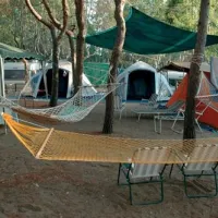 campeggio-punta-alice-cir-marina-4xdzh