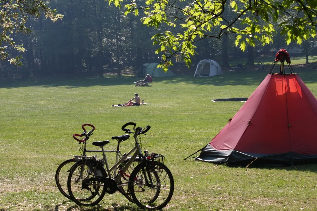 natuurkampeerterrein-zegenoord-loenen-gld-9ogtf
