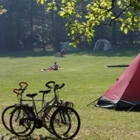natuurkampeerterrein-zegenoord-loenen-gld-9ogtf