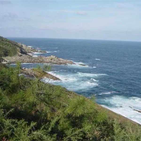 camping-camping-jaizkibel-hondarribia-4ce1q