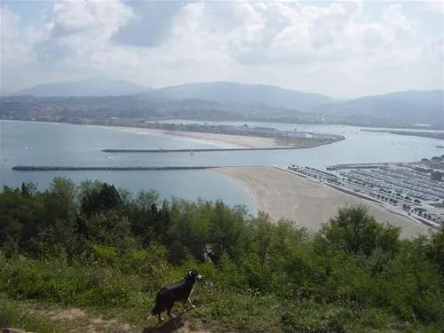camping-camping-jaizkibel-hondarribia-fwu9y