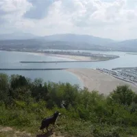 camping-camping-jaizkibel-hondarribia-fwu9y