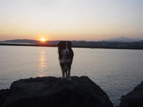 camping-camping-jaizkibel-hondarribia-vs21y