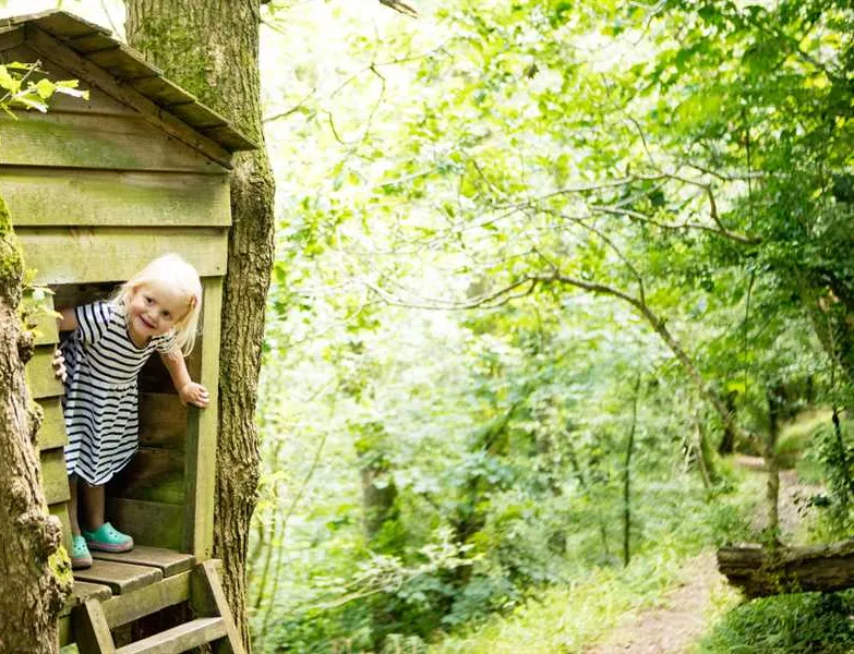 wooda-farm-park-bude-zpbsf