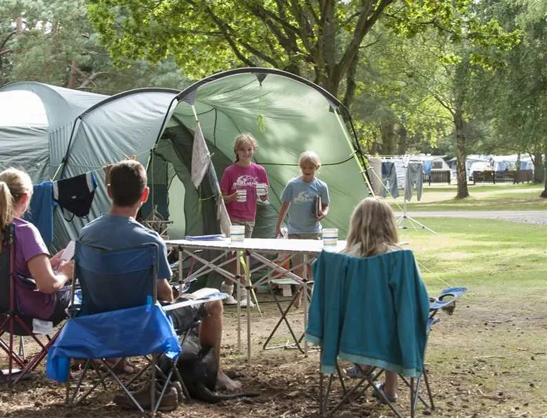 the-sandringham-estate-caravan-club-site-sandringham-2m5oj