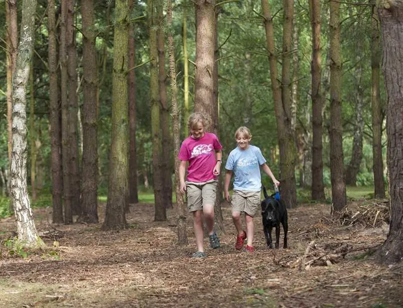 the-sandringham-estate-caravan-club-site-sandringham-4f7e6