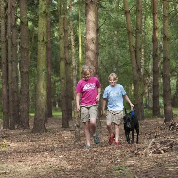 the-sandringham-estate-caravan-club-site-sandringham-4f7e6