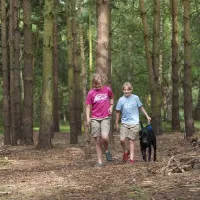 the-sandringham-estate-caravan-club-site-sandringham-4f7e6