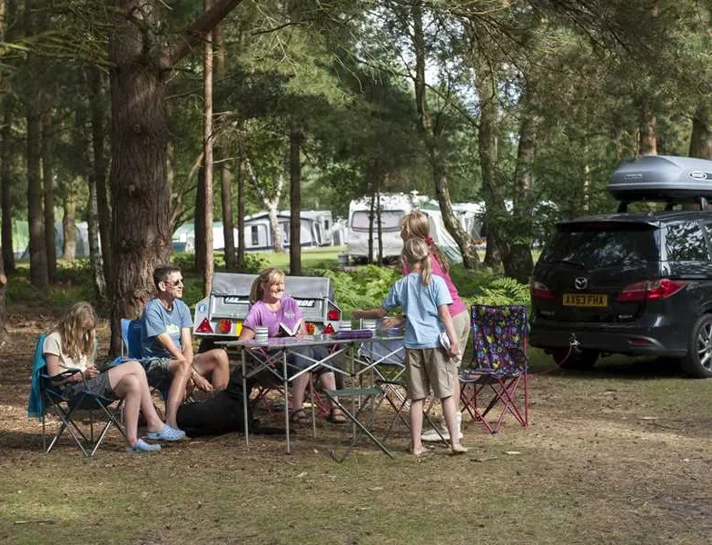 the-sandringham-estate-caravan-club-site-sandringham-kno4q