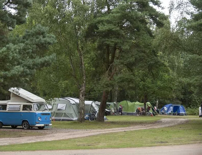 the-sandringham-estate-caravan-club-site-sandringham-l8ddl
