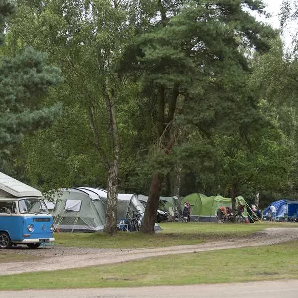 the-sandringham-estate-caravan-club-site-sandringham-l8ddl
