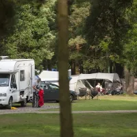 the-sandringham-estate-caravan-club-site-sandringham-snvbg