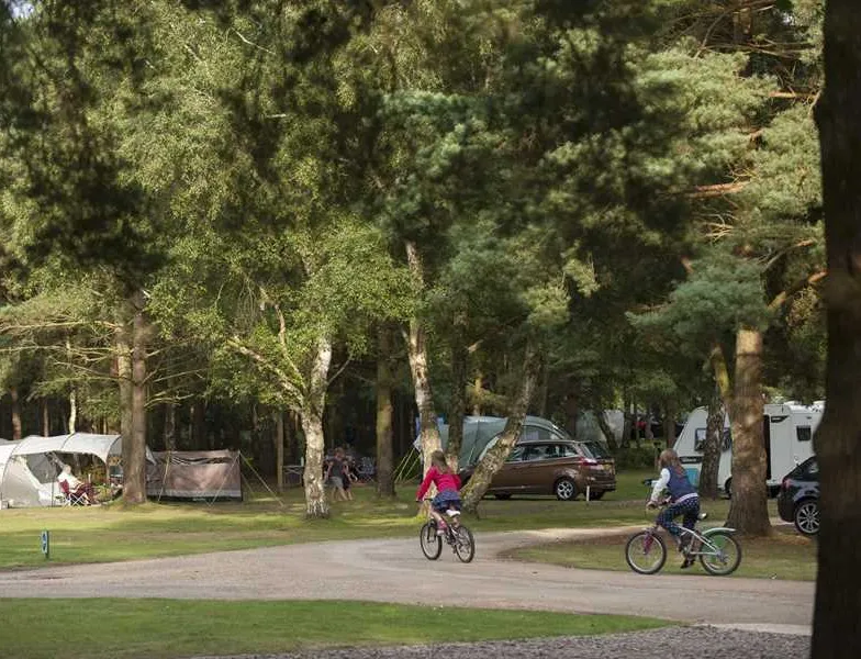 the-sandringham-estate-caravan-club-site-sandringham-w6a2k