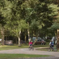 the-sandringham-estate-caravan-club-site-sandringham-w6a2k