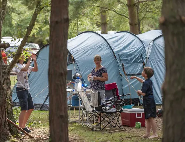 the-sandringham-estate-caravan-club-site-sandringham-ym1tr