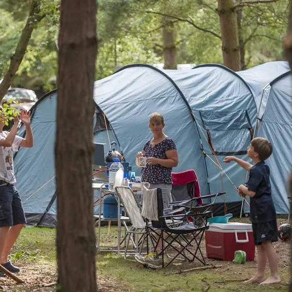 the-sandringham-estate-caravan-club-site-sandringham-ym1tr