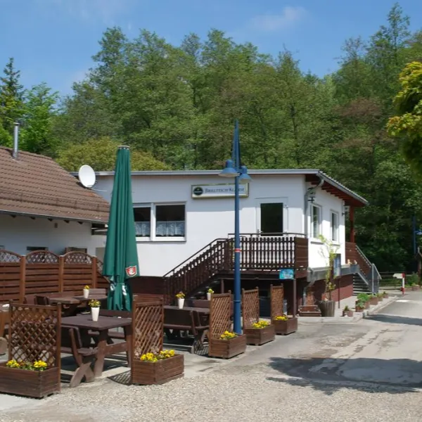 Camping Brillteich