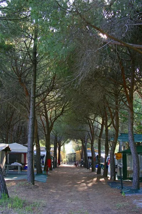 camping-village-baia-azzurra-club-castiglione-della-pescaia-ascdl