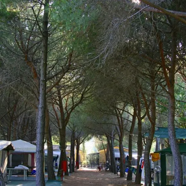 camping-village-baia-azzurra-club-castiglione-della-pescaia-ascdl