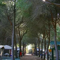 camping-village-baia-azzurra-club-castiglione-della-pescaia-ascdl
