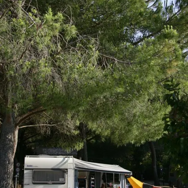 camping-village-baia-azzurra-club-castiglione-della-pescaia-vftdc