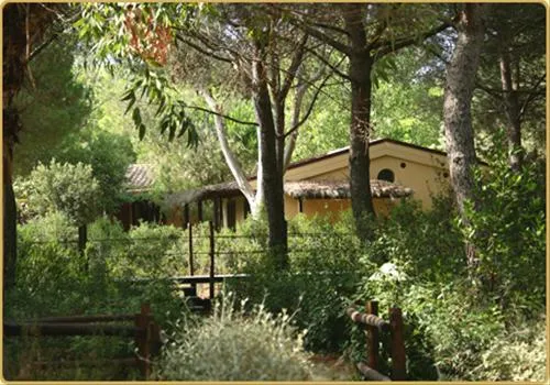 camping-village-baia-azzurra-club-castiglione-della-pescaia-yavv9