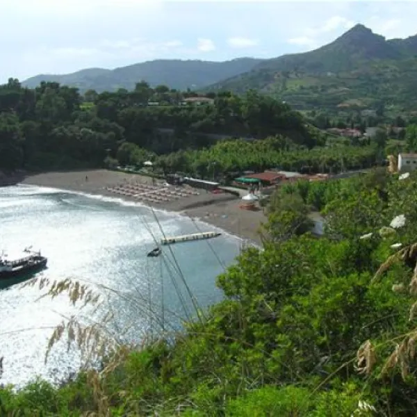 campeggio-arrighi-porto-azzurro-elrsx