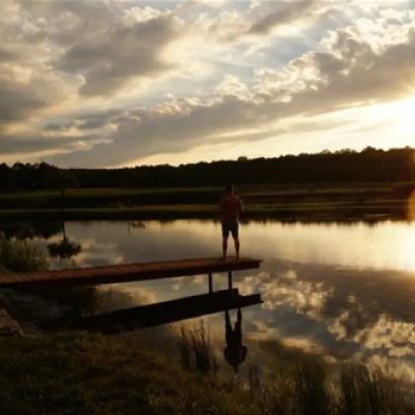 camping-nad-stawami-zoty-stok-bmluw