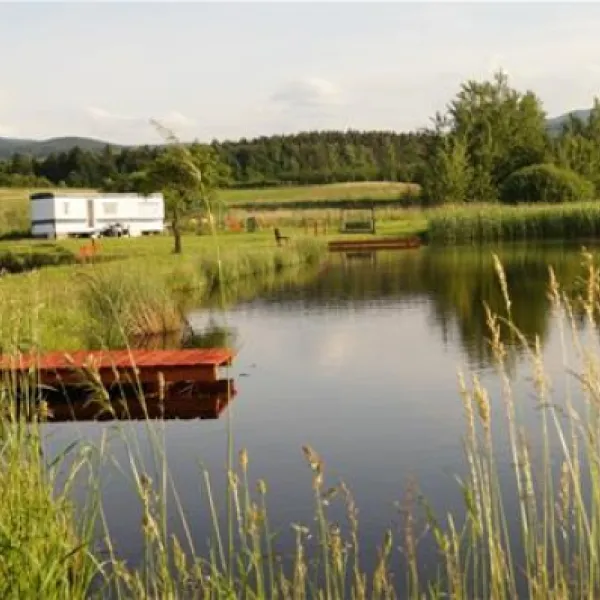 camping-nad-stawami-zoty-stok-wuisf