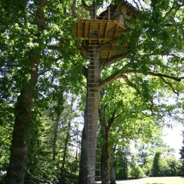 castel-le-domaine-des-ormes-epiniac-ley7z