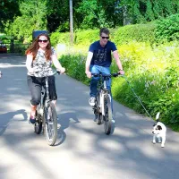 blair-drummond-caravan-club-site-blair-drummond-cgmhp
